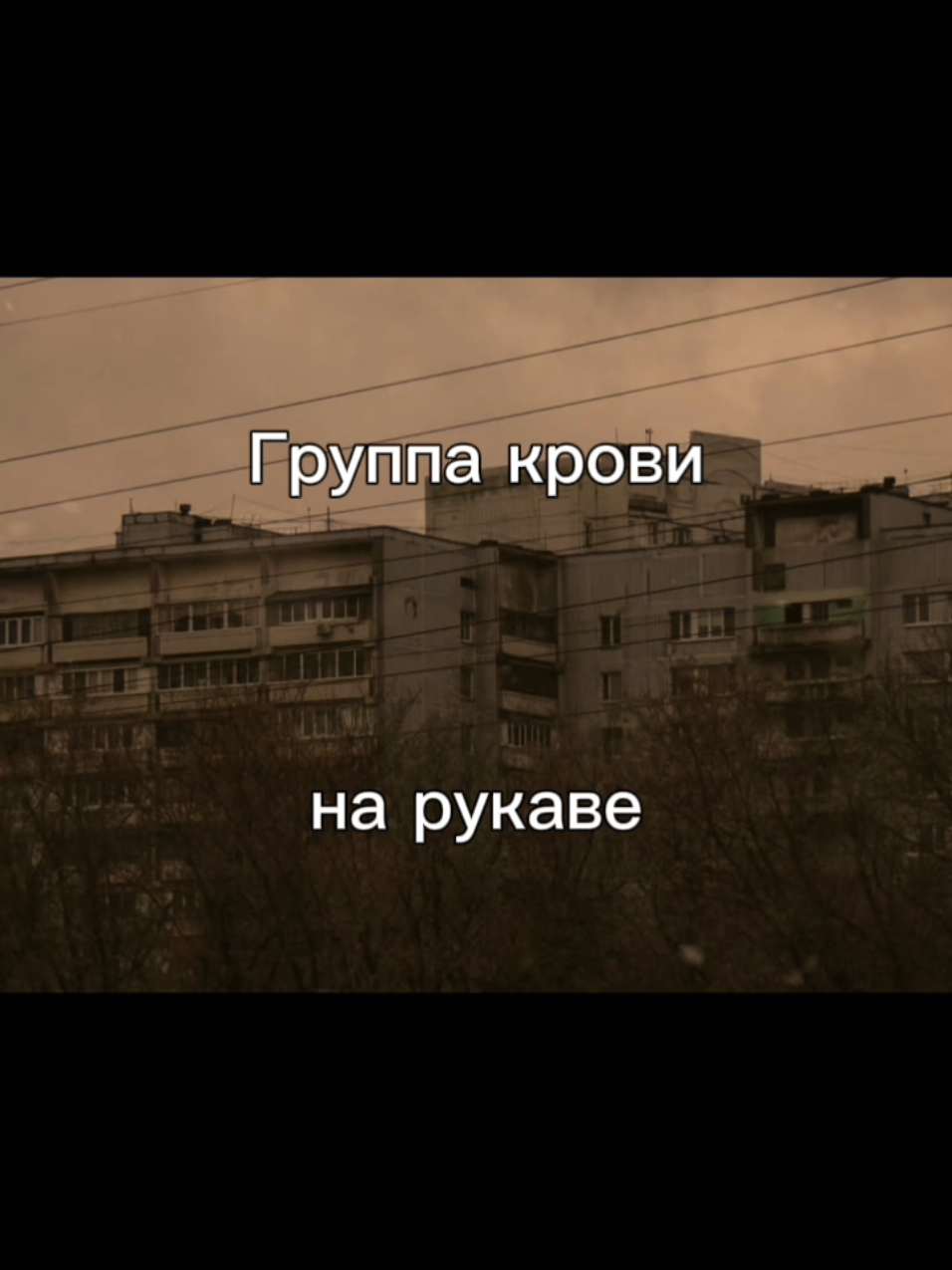 #song #песни #музыка #кино #цой #группакрови 