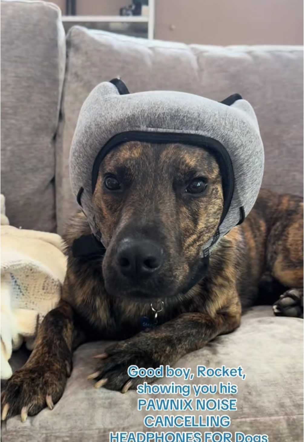 Good Boy Rocket 