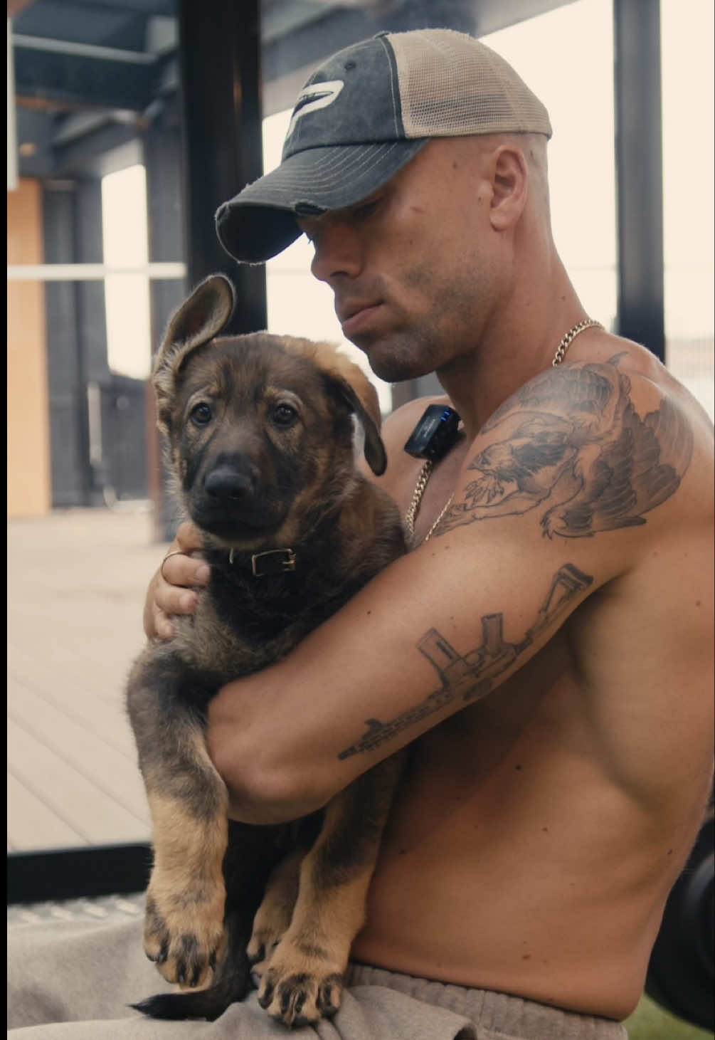 Rossi K9 #rossi #koiranpentu #pentu #saksanpaimenkoira #koira