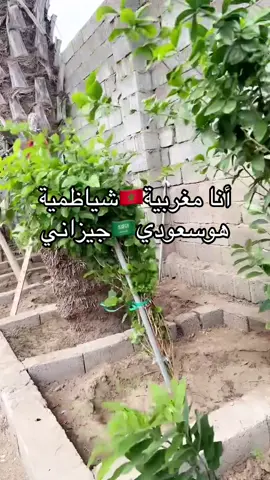 #مغربيةوافتخر١🇲🇦💚💛 #عادات_وتقاليد_جيزان🤩💃💃 #زفات_أم_شهد 