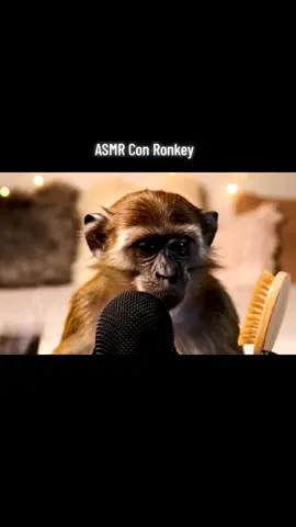 Relax 🐒🎧 #TikTokASMR #ASMRLatino #ASMRMono #ParaTi #RelaxTikTok 