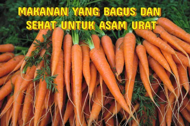 Makanan yang Bagus dan sehat untuk penderita asam urat 1. Buah sirsak dan Apel 2. Ikan air tawar 3. Sayuran : Wortel,Kentang,Terong,Oyong,Labu siam,Labu kuning,Jagung dan Sawi putih Makanan yang tidak baik untuk penderita asam urat yaitu makanan yang mengandung Purin seperti Seafood,daging ayam, Daging hewan, Jeroan, telor dan Sayuran yang berdaun hijau tua @resepsehatbermanfaat  #sehatalami  #edukasikesehatan #makanansehat #asamurat 
