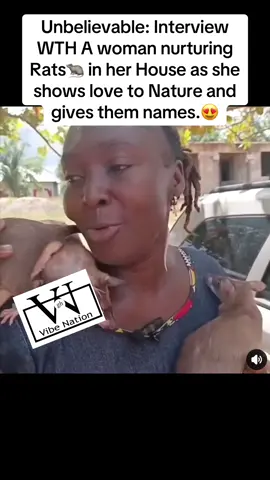 #Unbelievable: Interview WTH A woman nurturing Rats🐀 in her House as she shows love to Nature and gives them names. #kofitv #kofiadoma #animalloversunite #naturelovers #ratlove #unusualpets #ghanatiktok🇬🇭 #trending #viralvideos #fyp #foryoupage #foryou #goviral #goviraltiktok #