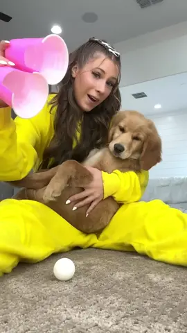 Dogs Are Smarter Than Humans#foru#foruyou #arab #la #explore #longtime #viral #fypシ゚viral #foryou #trending #alyssasways#alyssa