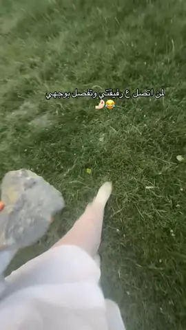 🤣🤣🤣