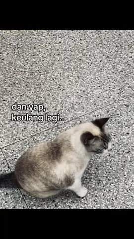 hrs brp kali aku ngerasain fase ini lagi? 