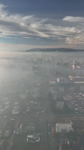 Despierta #Temuco #Niebla #surdeChile #contaminacion #frio #fyp #araucania #djiglobal_official #ciudadesdehumo 