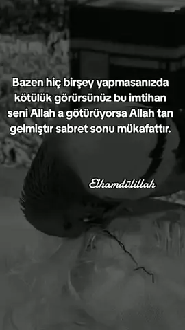 Sabret sonu mükafattır Elhamdülillah.... Selam ve dua ile kalın....