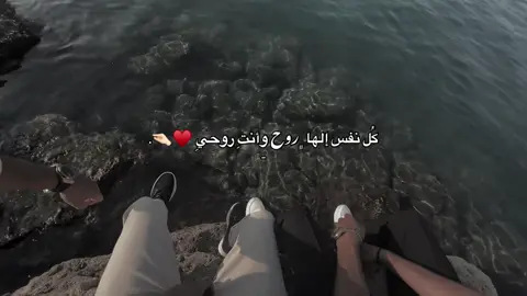 كل نفس إلها„ࢪوح وأنت روحي  🫂💜