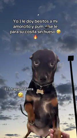 #CapCut #amor #parejas #humor #Love #fyp 
