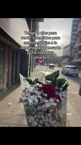 Simplemente te amo 💗 #xzyabc #novios #loveyou #paratii #dedicar 