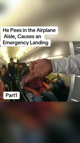 He Pees in the Airplane Aisle, Causes an Emergency Landing#cops #copsoftiktok #copsontiktok #copstiktok #police #policeoftiktok #fyp 
