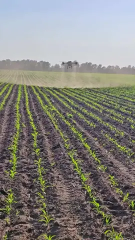 Drone farming. Modern farming technology 