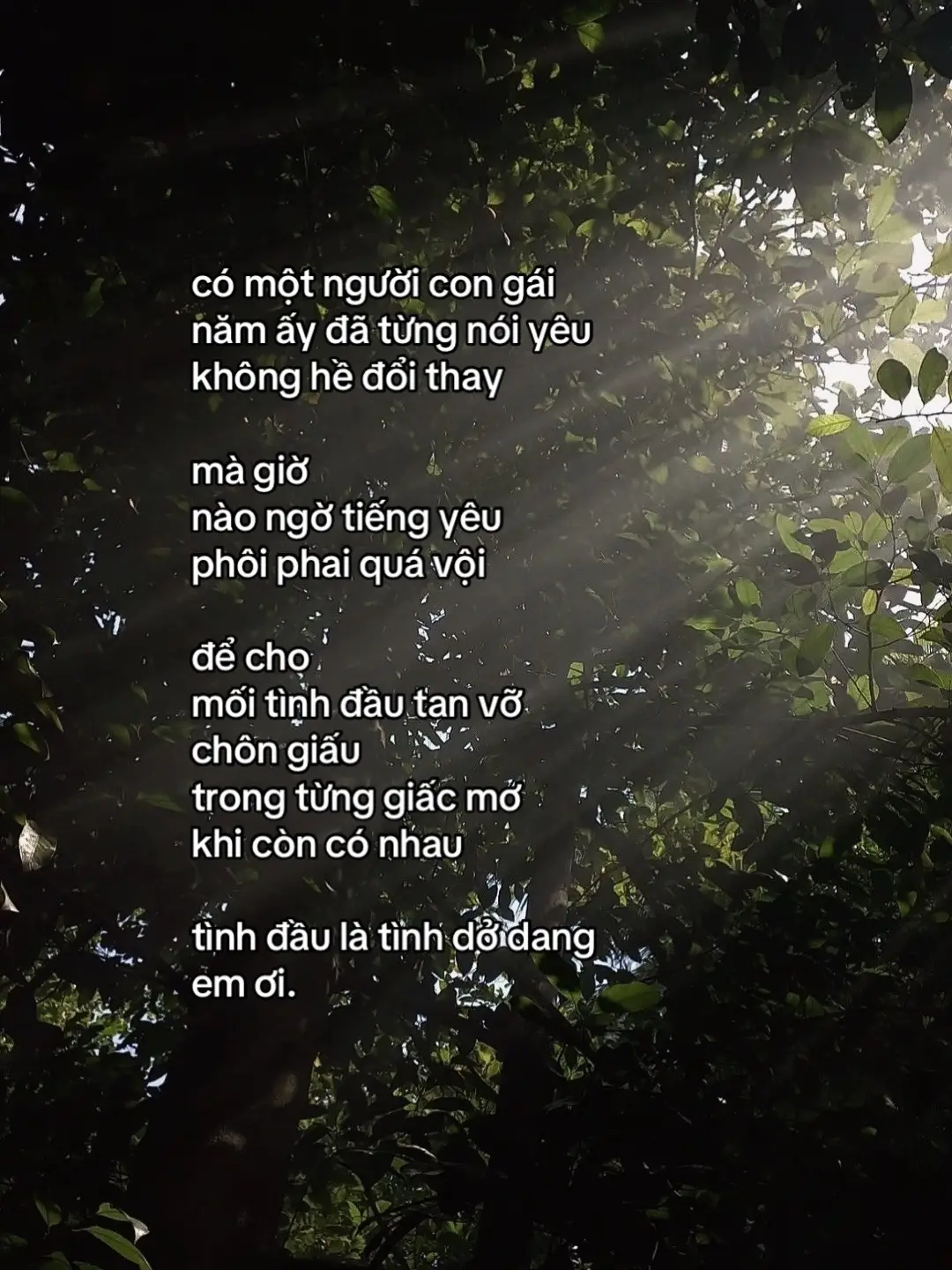 Tình đầu. #xuhongtiktok #xuhuong #nhachaymoingay #tamtrang 