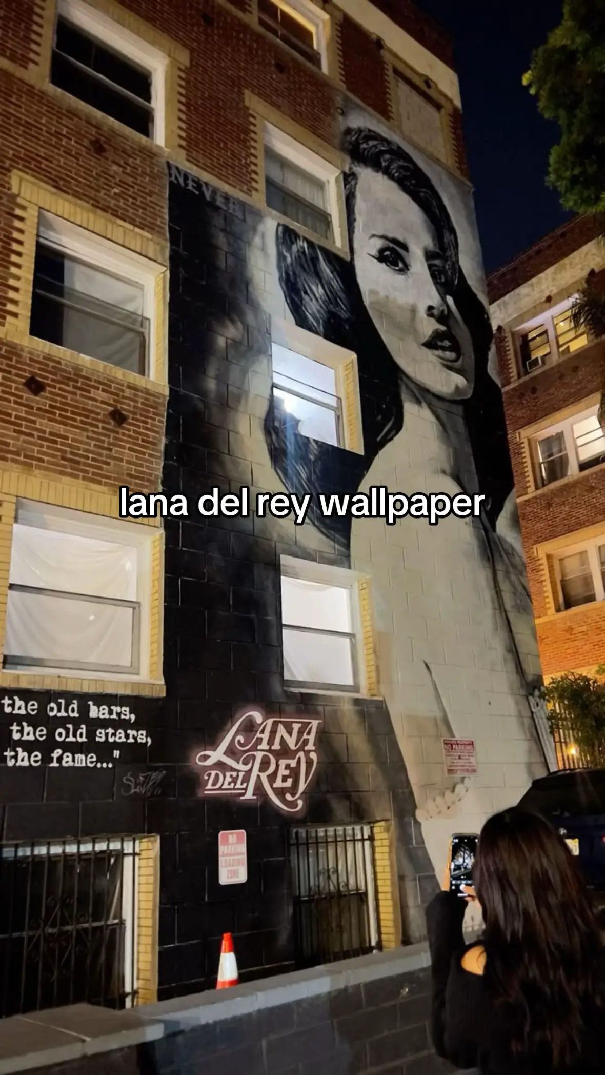 #fyppppppppppppppppppppppp #wallpaper #wallpapers #lanadelrey #lana #lanadelreyedit #lanadelreywallpapers #lanadelreytok #fyppp #fypdong 