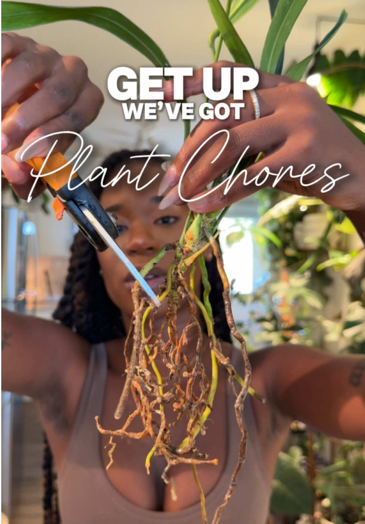 GET UP 🫵🏾 WE’VE GOT PLANT CHORES TO DO 🪴 —- Truly so sad because I couldn’t get all of my chores to fit in a three minute video, but just know this round was a lot!  my tissue cultures came from @Dandi Plants and @nymflora  #plantMom #plantLover #PlantCon #PlantChores #TissueCulture 