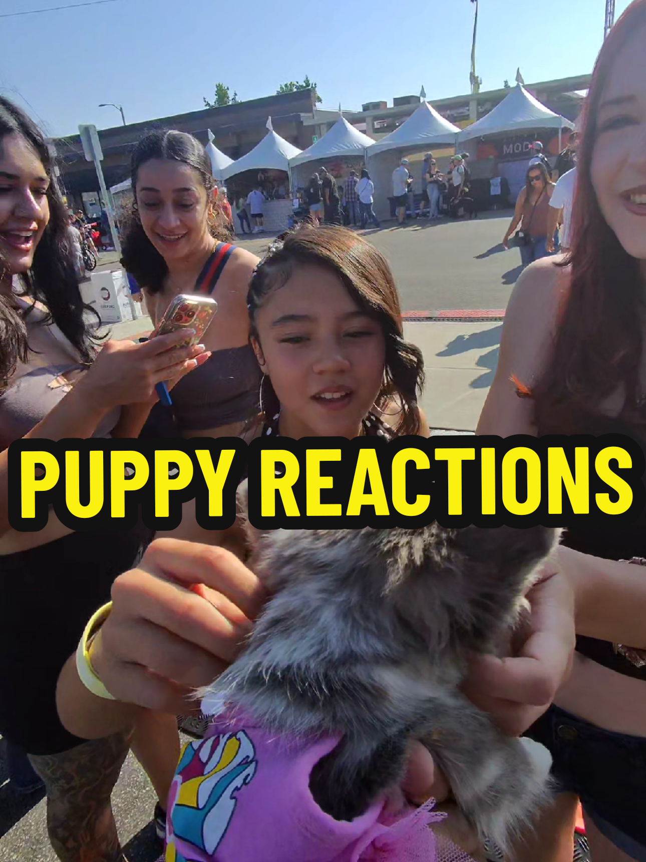 Love these three girls' energy out here at the Lemon Festival in Upland! 🍋👧👧👧 Getting some puppy reactions and good vibes! 🥰 #LemonFestival #Upland  #GoodVibes #PuppyLove 