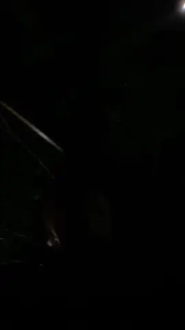 #VoiceEffects 