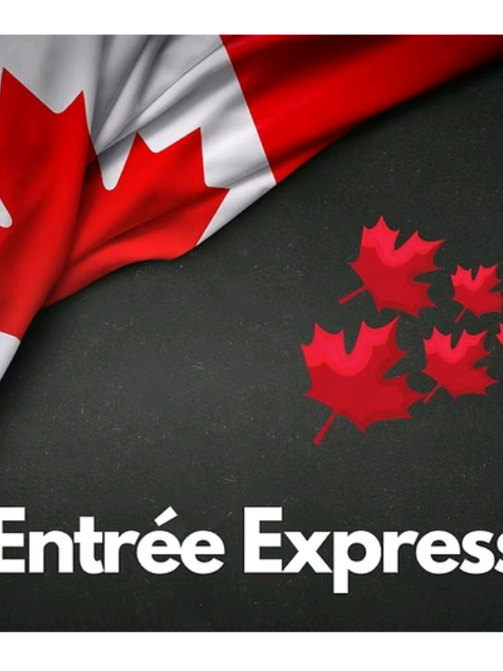 Comment créer ton profil Entrée Express facilement en 2025 ! 📍Comment créer ton profil Entrée Express facilement en 2025! 📍Qu'est-ce qu'Entrée Express ? 📍Entrée Express (Express Entry) est un système en ligne mis en place par le gouvernement du Canada pour gérer les demandes de résidence permanente dans trois programmes économiques 📍Travailleurs qualifiés (fédéral) 📍Métiers spécialisés 📍Expérience canadienne Dans cette vidéo, apprenez à créer étape par étape votre profil Entrée Express pour l'immigration canada. Nous détaillons également les documents à fournir pour l'entree express et comment vérifier votre éligibilité avant de commencer le processus d'immigrer au canada. Ne manquez pas nos conseils pour faciliter votre demande de residence permanente! #canada_life🇨🇦 #canada🇨🇦 #canadatiktok #immigration #france🇫🇷 #france #quebec #visa #work 