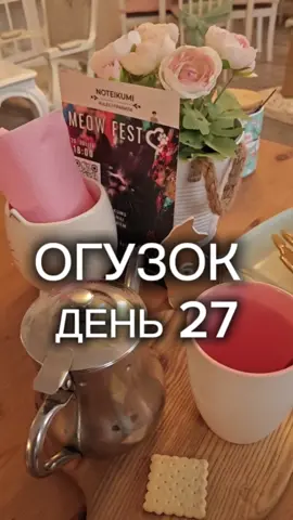 ДЕНЬ 27 Он ходит! И кусает меня. За что? Не отвечает. Я подозреваю, что ему скучно. Задаюсь вопросом, сможет ли он прыгать с такими лапами 🤔 Название котокафе Mr. Kotoffski Cat Cafe museum @cat cafe 