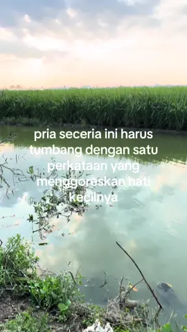 tolong aku!