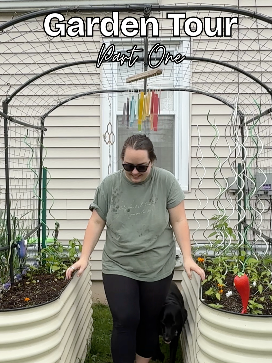 Welcome to my little backyard garden 🌿✨   PART ONE: my garden beds   I’m taking you on a quick tour of what’s growing and what I’ve planted so far!     #GardenTour #BackyardGarden #OrganicGardening #SlowLiving #GrowYourOwn #GardenLife