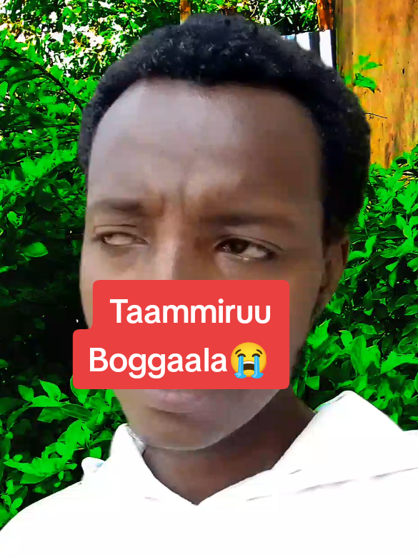#REPOST_COPYLINK_DUET🙏🙏🙏🙏🙏🙏🙏🙏🙏🙏🙏@Tonkolii Tokkee🥰💥  X#creatorsearchinsights #comedia #ethiopian_tik_tok🇪🇹🇪🇹🇪🇹🇪🇹 #viralvideos #fyp 