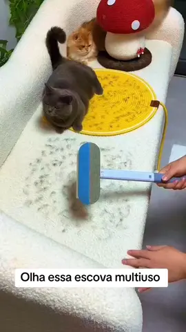 Escova removedora de pelos multiuso 4 em 1, produto perfeito para ter em casa. Comente EU QUERO que te enviamos o link. #caesegatos #achadinhos #produtospet #pet #dogs #removedordepelos #ofertas #fypシ゚ #mundoanimal #lovepet