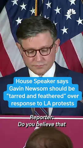 Speaker of the House Mike Johnson was asked about President Trump's endorsement of arresting Gov. Gavin Newsom. 