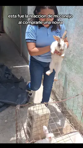 VOY A SER ABUELA😭😭😭 #fyppppppppppppppppppppppp #paratiiiiiiiiiiiiiiiiiiiiiiiiiiiiiii #Viral #conejos 