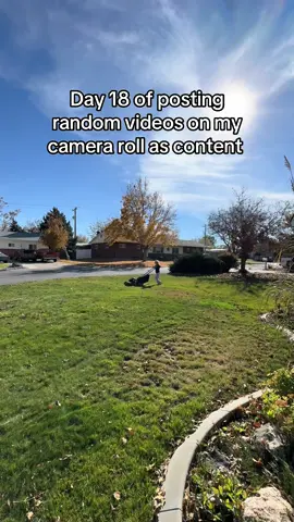 Mowing the lawn 🎉   #fyp #creatorsearchinsights #tiktok #foryoupage #viral #trending #momlife #sahm #daughter 