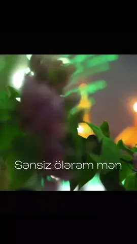 Sənsiz ölərəm mən...🥀 #kerbela #🥀🖤 #yahuseyn #fypage 