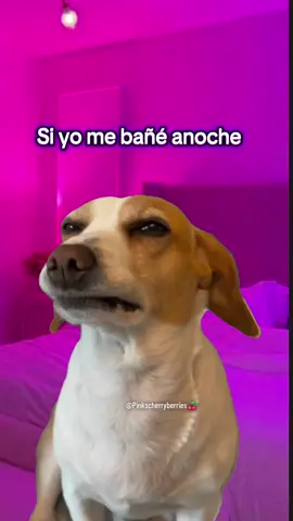 😙😏😅#risastiktok🤣🤣🤣🤣😅😅😅 #humortiktok🤣😜😅😂🤪 #reirse #humortiktok #reirse #reiresvivir #reirparanollorar #memestiktok #memesgraciosos #memecut #meme#memes
