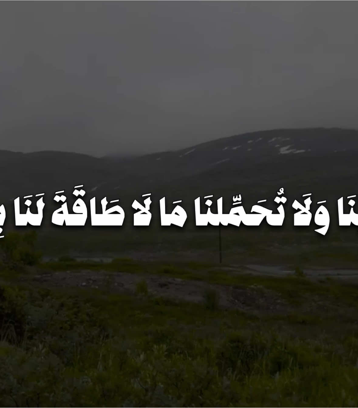 #عبد_الباسط_عبد_الصمد #سورة_البقرة #قران #quran 
