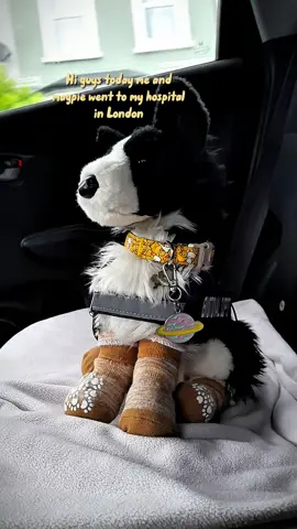 Today I took magpie my essa to London 🇬🇧 I can't believe a dr^g  dealer touched magpie I need to wash her :( That girls singing was so good tho / also sorry 4 the bad camera quality I need a better phone lol #emotionalsupportanimal #essa #plushys #essacommunity #emotionalsupportstuffedanimals #emotionalsupportstuffedanimal #essagear #essadog #bordercollieessa #London #essaouting #essaoutinpublic #walkingessa #fyp #fyppppppppppppppppppppppp #fypp #trending 
