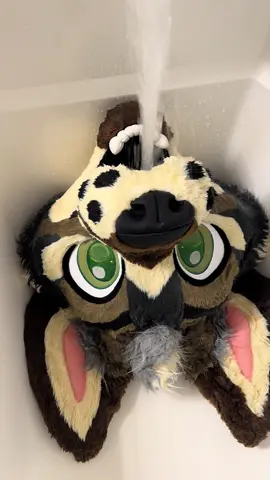 DRINK #furry #xyzbca #fursuit 