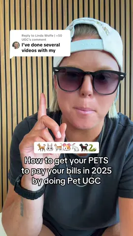 Replying to @Linda Wolfe | +50 UGC plz post a comment picture of your pets I need to see them 😂👏🏻