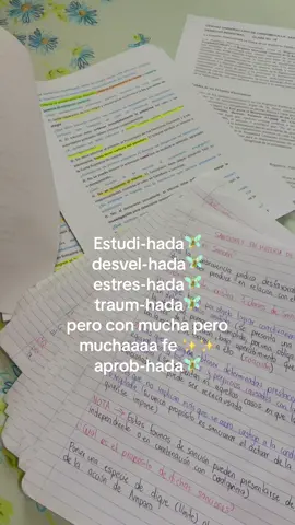 Vamos por el décimo 🦾 #fyp #parciales #estres #universidad #umg #examenes #estudiantes #universitarios #guatemala #hada #viralvideos 
