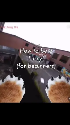 How to be a furry tutorial!! fast and simple :3 \| #furry #howto #tutorial #furrytiktok #fur 