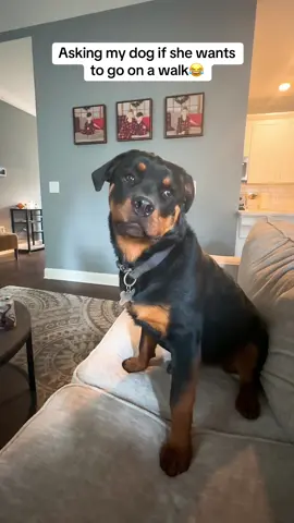 Her looking at him just for validation 😂 #foryoupage #marriage #funny #rottweiler #dog #realatable 