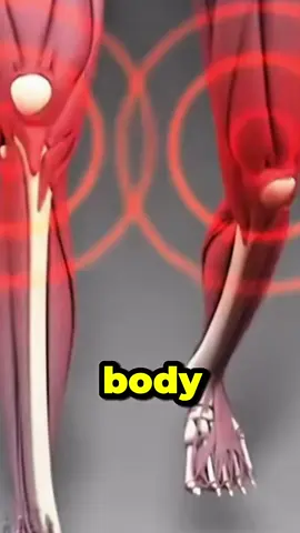 What happens to your body when you walk for one hour?