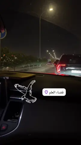 الصقور 