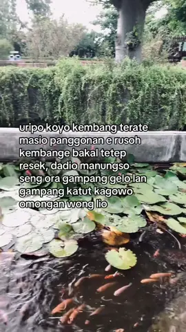 🙏🏻 #psht #pshtpusatmadiun #psht1922 #pshtjaya #pshtstory #madiun24jam 