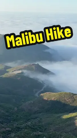 Best LA hike 1.5 miles #malibu #wow #cool #DidYouKnow #interesting #viral #fyp #video 