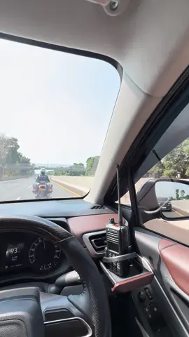 cruising