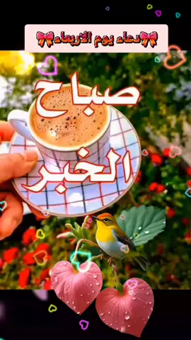 #دعاء_جميل #صباحكم_أحلى_صباح #صباح_الخير #اسعد_الله_جميع_اوقاتكم🌹🌹 #اللهم_امين_يارب_العالمين #يارب❤️ 