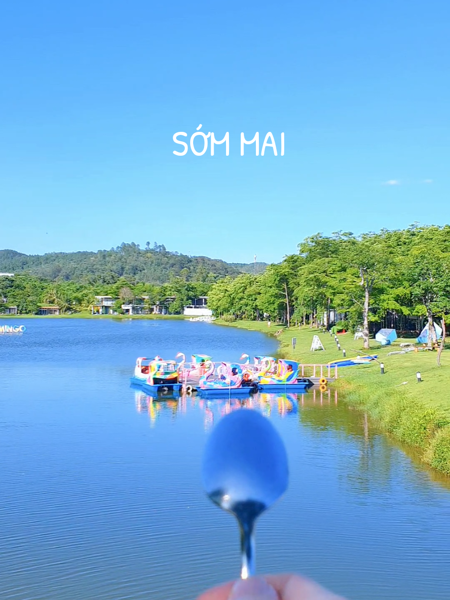 Chỉ cách Hà Nội hơn 40km – nhưng sáng ở đây như sống chậm lại 🍃🌞 Thức dậy trước hồ, nắng nhẹ, tiếng chim hót... cảm giác an yên hiếm có 🕊️ Một nơi đáng để thử, để thở, để yêu 💚 #forestvilla #bietthuflamingo #flamingodailai #hungleuheu #cappairgetaway #trốnphố #homestayvietnam #resortchill #dulichcapdoi #morningvibes 