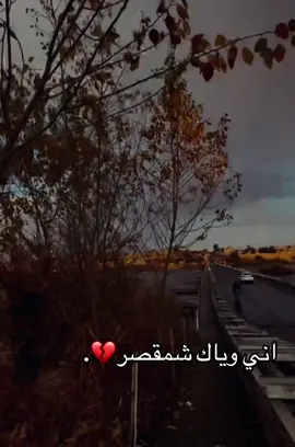 #من_وين_شفت_الفيديو #الانستا_في_البايو #ff 