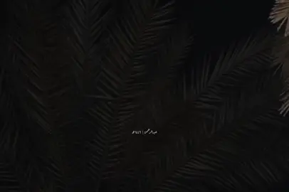 واصبر عليك من حبي فيك 🖤 #اليسا  #اليسا_ملكه_الاحساس  #تعبت_منك  #استوريهات  #حزين #تصميم_فيديوهات🎶🎤🎬تصميمي🔥 #مصمم_فيديوهات #تصميمي #story #foruyou #foryoupage❤️❤️ #fyp #viral 
