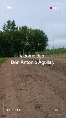 que palabras tan sabias de don Antonio Aguilar #parati #amor #antonioaguilar #poemas 